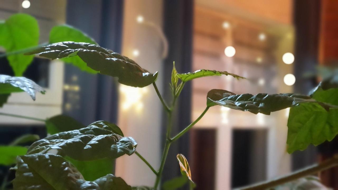 Stara Szkola W Weremowicach Apartment Weremowice Bagian luar foto
